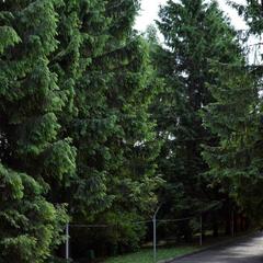 Гостиница ФОК ОПАЛИХА, Красногорск, Московская область