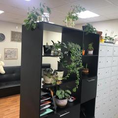 Хостел Star Myakinino, Красногорск, Московская область