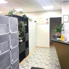 Хостел Star Myakinino, Красногорск, Московская область