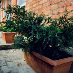 Гостевой дом Альтаир, Краснодар, Краснодарский край