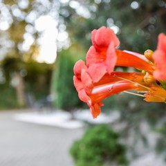 Гостиница Бизнес-Отель, Краснодар, Краснодарский край