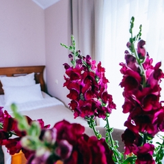 Отель Bridge, Краснодар, Краснодарский край