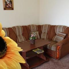 Гостиница Ирон, Краснодар, Краснодарский край