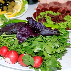 Гостиница Альянс, Краснодар, Краснодарский край