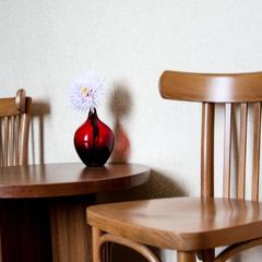 Отель Виват, Краснодар, Краснодарский край