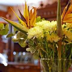 Отель Бристоль, Краснодар, Краснодарский край