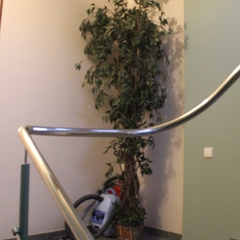 Отель Тис, Краснодар, Краснодарский край