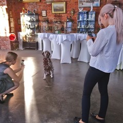 Отель Бристоль, Краснодар, Краснодарский край