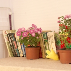 Хостел Краснодар Ставропольская, Краснодар, Краснодарский край