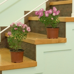 Хостел Краснодар Ставропольская, Краснодар, Краснодарский край