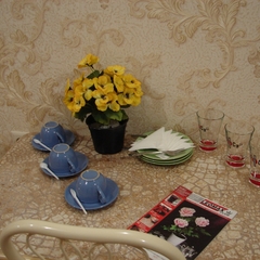 Гостиница Ивушка, Краснодар, Краснодарский край