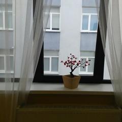 Хостел Уютный дом, Краснодар, Краснодарский край