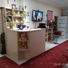 Хостел Кот Базилио, Краснодар, Краснодарский край