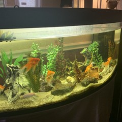 Отель Мир, Краснодар, Краснодарский край