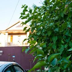 Гостиница Home, Краснодар, Краснодарский край