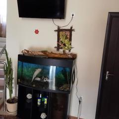 Отель Tet-a-Tet, Краснодар, Краснодарский край