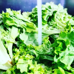 Гостиница Golden Villa, Краснодар, Краснодарский край