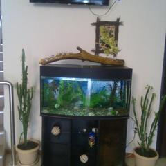 Отель Tet-a-Tet, Краснодар, Краснодарский край