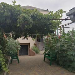 Хостел New, Краснодар, Краснодарский край