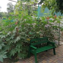 Хостел New, Краснодар, Краснодарский край