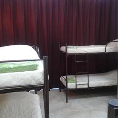 Хостел Радикс, Краснодар, Краснодарский край