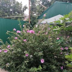 Хостел New, Краснодар, Краснодарский край