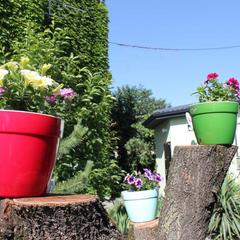 Мини-отель Владимир, Краснодар, Краснодарский край