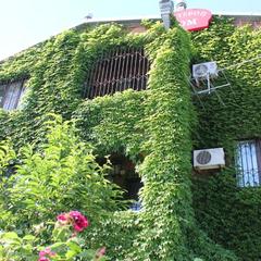 Мини-отель Владимир, Краснодар, Краснодарский край