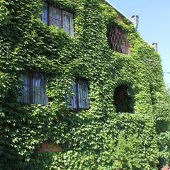 Мини-отель Владимир, Краснодар, Краснодарский край