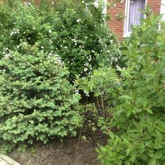 Гостевой дом на Каляева, Краснодар, Краснодарский край