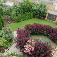 Вилла Villa of Roses, Краснодар, Краснодарский край