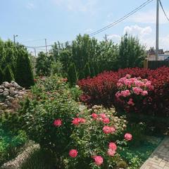 Вилла Villa of Roses, Краснодар, Краснодарский край