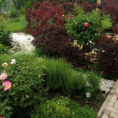 Вилла Villa of Roses, Краснодар, Краснодарский край