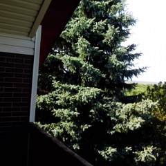 Усадьба Красная мельница, Красное, Калининградская область