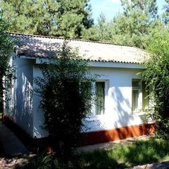 База отдыха Мечта, Краснослободск, Волгоградская область