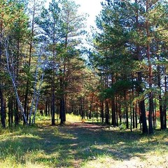 Туристический комплекс Серебряный бор, Краснотуранск, Красноярский край