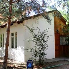 База отдыха Мечта, Краснослободск, Волгоградская область