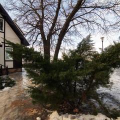 Парк-отель Нобель, Краснослободск, Волгоградская область