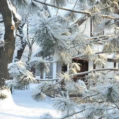 Парк-отель Нобель, Краснослободск, Волгоградская область