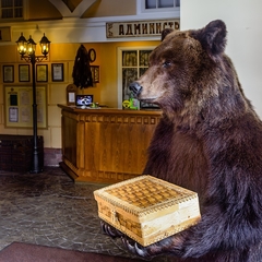 Отель Купеческий, Красноярск, Красноярский край
