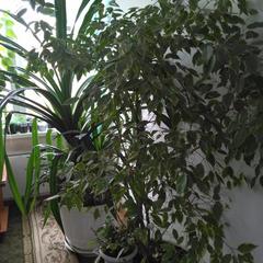 Отель на Марковского 81, Красноярск, Красноярский край