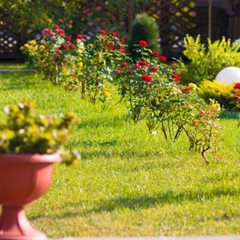 Отель Меридиан-Юг, Красный Колос, Ростовская область