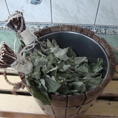 Гостевой комплекс Аллюр, Красный Восход, Пермский край