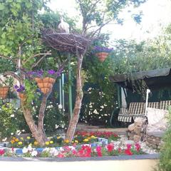 Гостевой дом Ласточкино гнездо, Криница, Краснодарский край