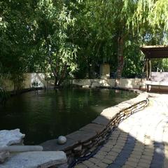 Гостевой дом Ласточкино гнездо, Криница, Краснодарский край