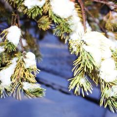 Парк-отель Парк-Отель Резиденция 888, Кременкуль, Челябинская область