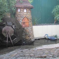 Гостевой дом Ласточкино гнездо, Криница, Краснодарский край