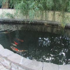 Гостевой дом Ласточкино гнездо, Криница, Краснодарский край