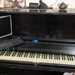 Мини-отель 101, Кронштадт, Ленинградская область