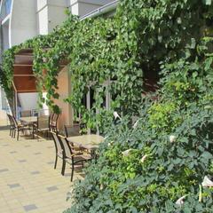 Гостевой дом Ласточкино гнездо, Криница, Краснодарский край